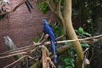 DSC_9076.JPG